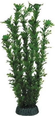 Растение "Лигодиум" зеленый, 300мм – фото 1