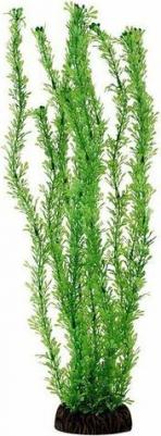 Растение "Лигодиум" зеленый, 300мм – фото 2