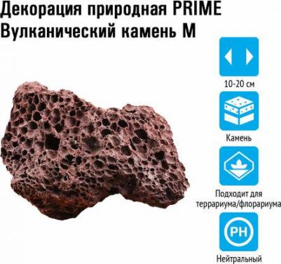 Декорация природная Вулканический камень М, 10-20 см – фото 1