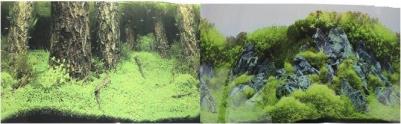 Фон для аквариума Затопленный лес/Камни с растениями, винил, 100x50 см – фото 1