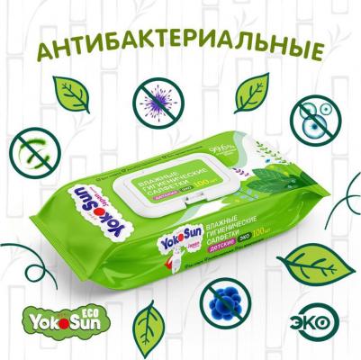 Влажные гигиенические салфетки Eco, 100шт – фото 13
