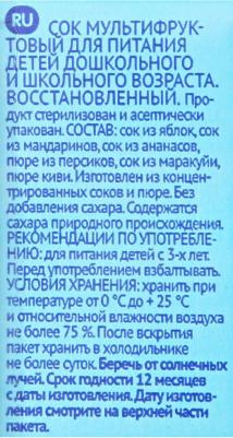 ананас-банан-киви-манго-персик-яблоко, мята, 500 мл (сок для детского питания) – фото 4