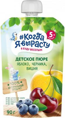 яблоко, вишня-черника, 90 г (детское пюре)