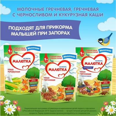 молочная, кукурузная, кукуруза, с молоком, 220 г – фото 11