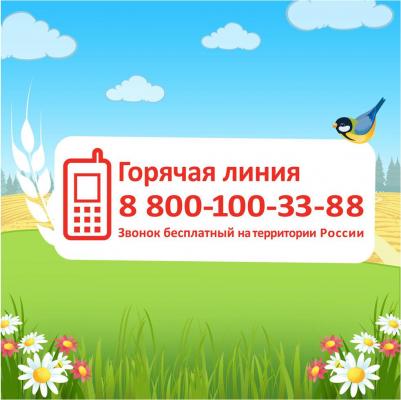 молочная, кукурузная, кукуруза, с молоком, 220 г – фото 15