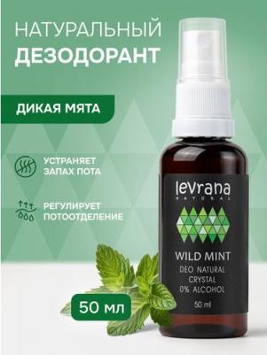 Дезодорант «Дикая Мята» мужской, 50 мл – фото 1
