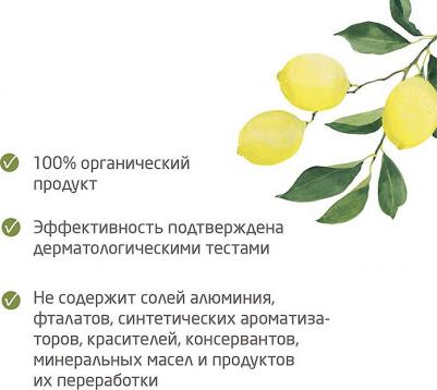 дезодорант (цитрусовый стекл.фл. с распылителем 100мл) – фото 14