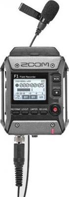 F1-LP – фото 9