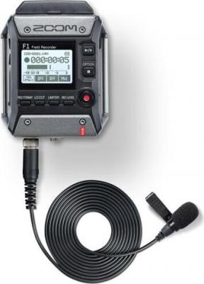 F1-LP – фото 16