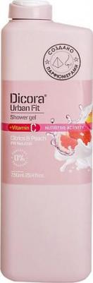 Гель для душа Dicora Milk & melonдыня, 400 мл, 400 г – фото 1