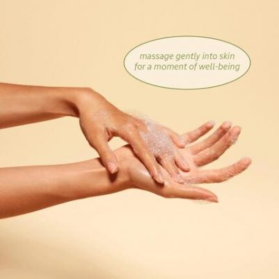 EXTRA GENTLE SOAP / Мыло туалетное твердое Вербена-Карите, 100г – фото 1