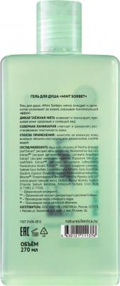 Гель для душа Skin evolution Mint sorbet 270 мл – фото 2
