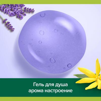 Гель для душа Арома Настроение с маслами лаванды и иланг-иланга, 250 мл – фото 2