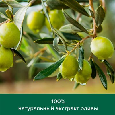 Гель для душа Натурэль Интенсивное увлажнение олива и увлажняющее молочко в запасном блоке, 750 мл – фото 9