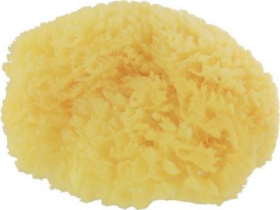 Губка для тела натуральная, карибская. 3364