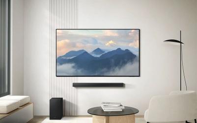 HW-B650D – фото 13