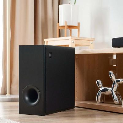 SR-X50A – фото 12