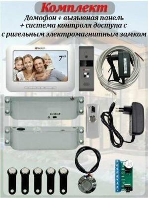 DS-D100P – фото 4