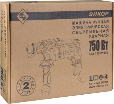 ДУЭ 750ЭР/13M – фото 2