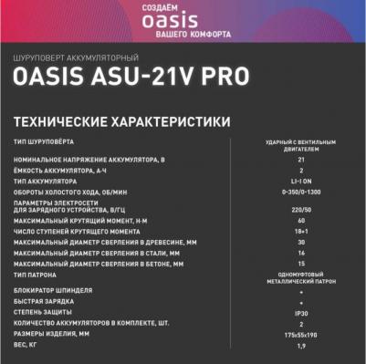 ASB-21V Pro – фото 11