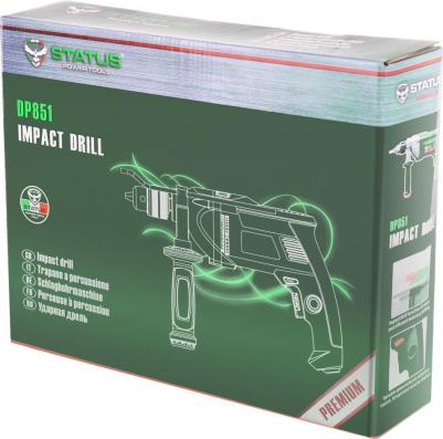 DP851 – фото 4