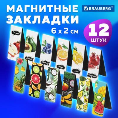 Закладки для книг МАГНИТНЫЕ FRUITS набор 12 шт – фото 12