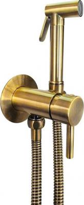 ZDUP110HGSP – фото 1