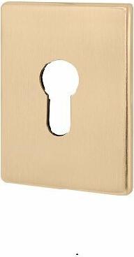 Накладка на цилиндр ESC.C.RL/K.486 (ESC 486-C RL) SSG – фото 1