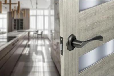 Дверные ручки PS5R1, без запирания, цвет графит 4610144726252 – фото 3