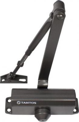 Доводчик на дверь TS-DC085 серебристый – фото 6