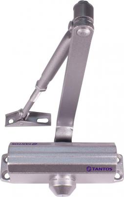 Дверной доводчик TS-DC085 Freeze – фото 1