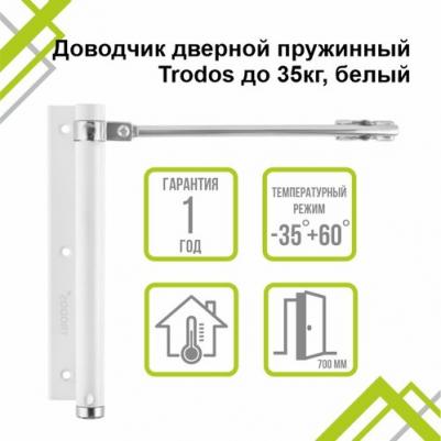 Доводчик дверной пружинный, TD-35, -35°C + 60°C °C, до 35 кг, белый, 272051