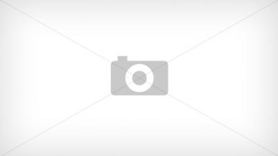 Ferrari F1 Wheel – фото 3