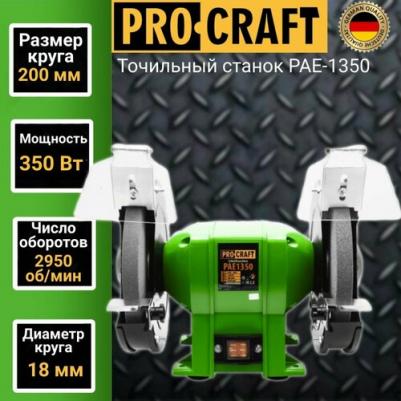 PAE1350/200 – фото 3