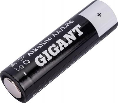 Батарейка Alkaline АА/LR6 блистер 4 шт. GBA-2A-4 – фото 2