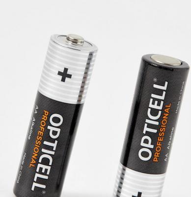 Батарейки Professional 5052001 AA 4шт – фото 13