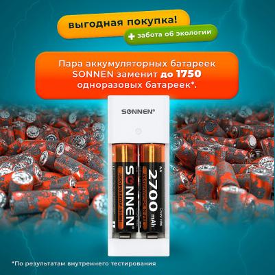 Зарядное устройство с аккумуляторами 2 штуки, AA, 2700 mAh BC2 – фото 6
