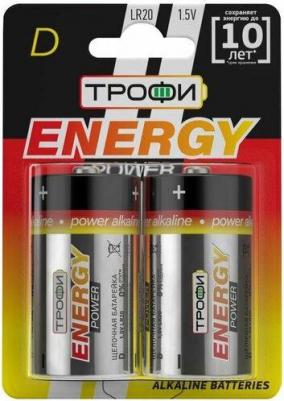 Батарейки LR20-2BL ENERGY POWER Alkaline (12/96/3456) – фото 2