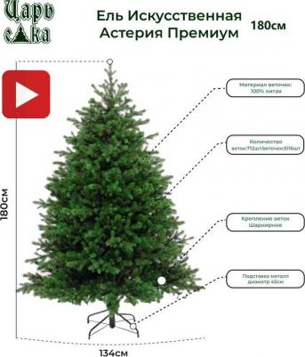 Астерия – фото 5