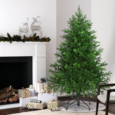 Астерия – фото 6