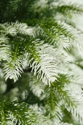 Кремлевская – фото 1