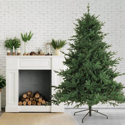 Кремлевская – фото 15