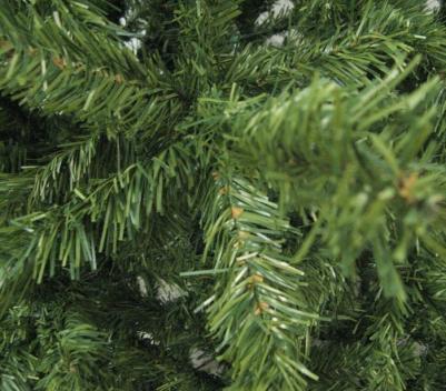Promo Tree Standard – фото 9