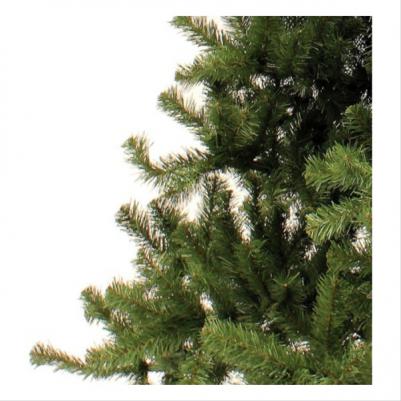 Promo Tree Standard – фото 10