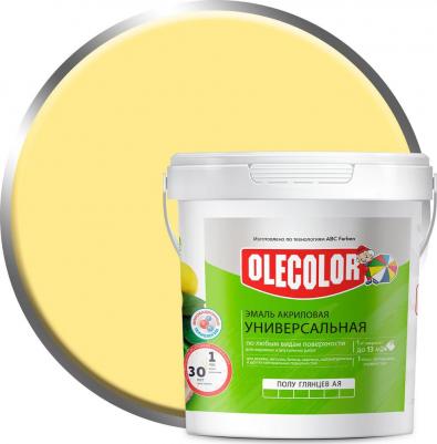 Акриловая эмаль 4300002386