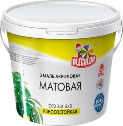 Акриловая эмаль 4300002491 – фото 1