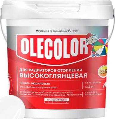 Высокоглянцевая акриловая эмаль для радиаторов отопления 4300011043 4690416144588