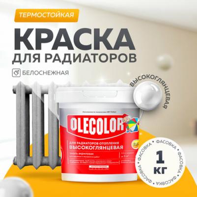 Высокоглянцевая акриловая эмаль для радиаторов отопления 4300011043 4690416144588 – фото 1