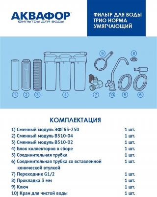 Трио Норма – фото 18