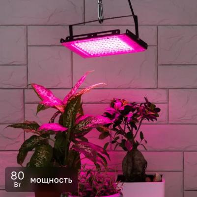 FITO-80W-RB-LED-Y